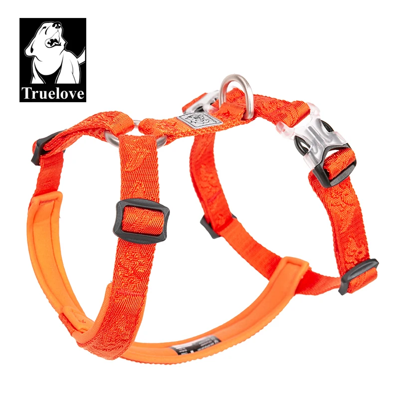 Runners Gear - TRUELOVE สัตว์เลี้ยง Hairy Usag Premium Trail