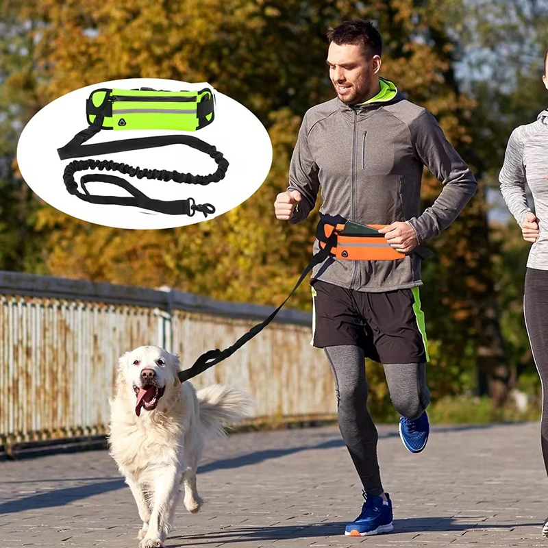 แฮนด์ฟรีสายจูงสุนัขสําหรับวิ่ง - Running Gear Holder บทวิจารณ์และราคา
